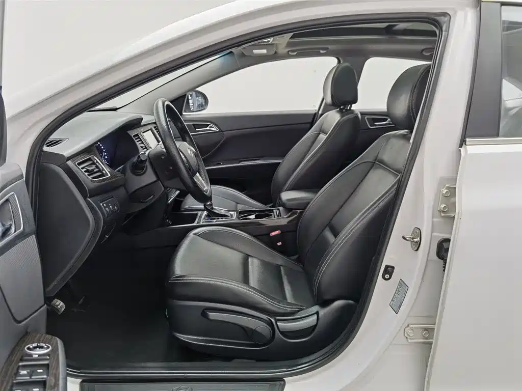 HYUNDAI NAME PICTURE