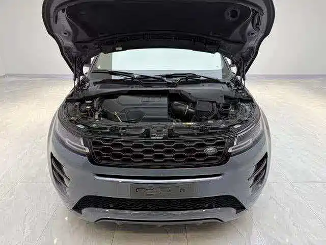 Land Rover Range Rover Evoque 2020 249PS R-DYNAMIC S Sport Edition фото 6