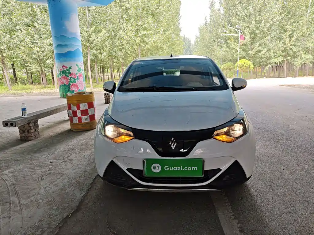 JMCG New Energy Little Kirin 2024 2023 Model Lucky Edition 201km Comfort