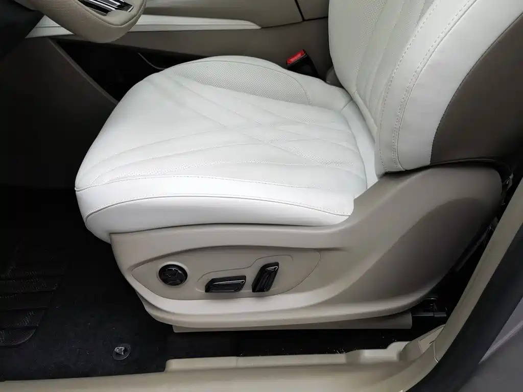 Roewe RX9 2024 2023 2.0T 2WD Premium Edition