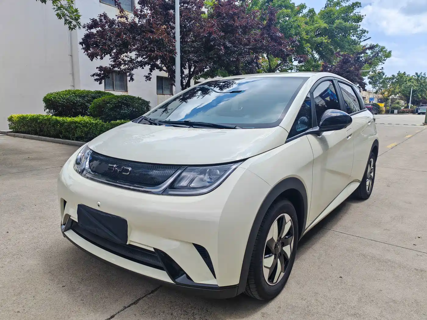 BYD Dolphin 2026 2025 420km Freedom Edition