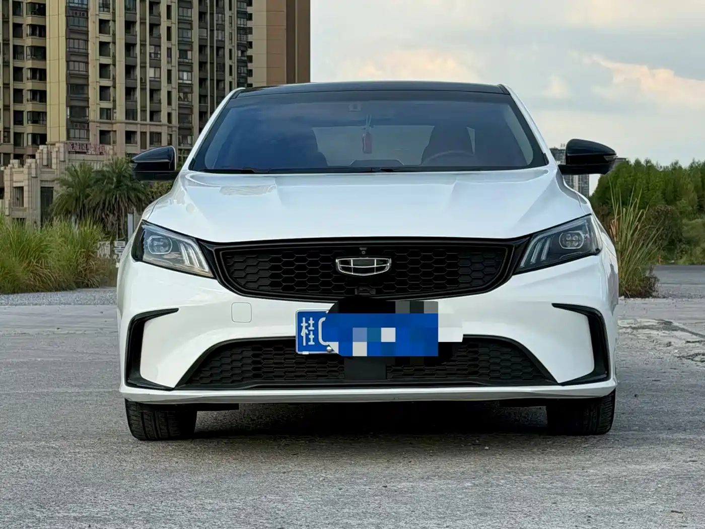 Фото 2 - Geely Binrui