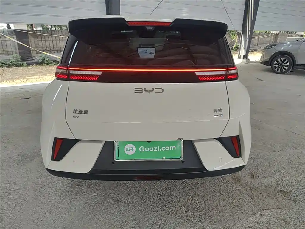 BYD Seagull 2025 Smart Drive Edition 305km Freedom Version фото 6