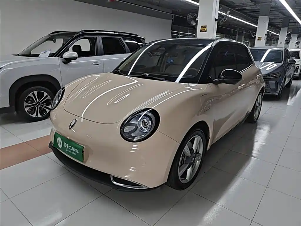 Ora Good Cat 2023 401km Standard Range Luxury LFP