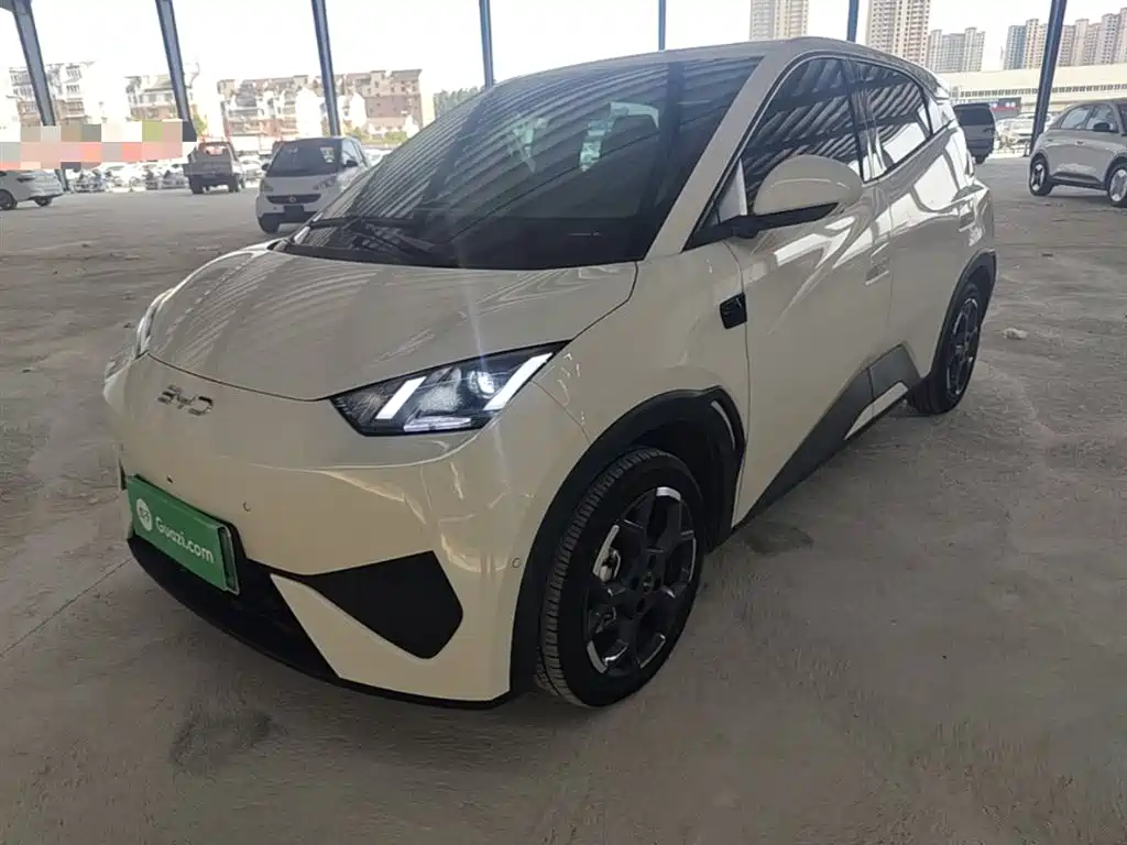 BYD Seagull 2025 Smart Drive Edition 305km Freedom Version