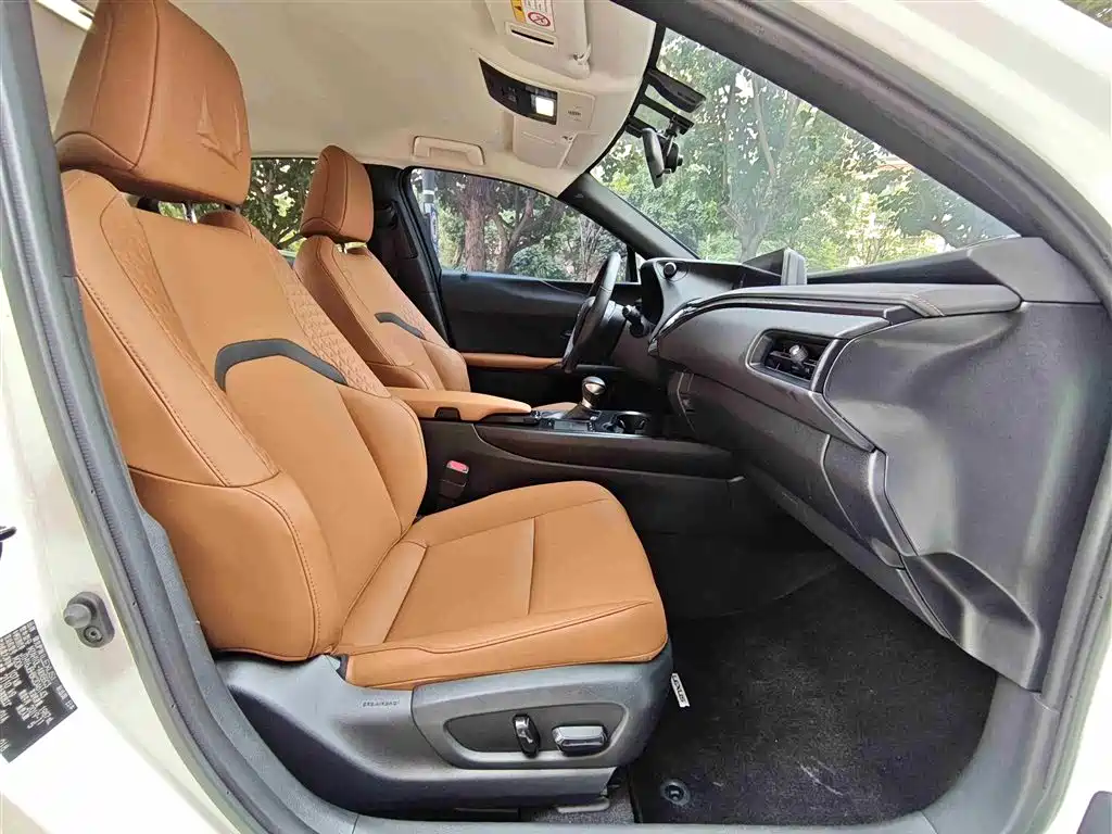 Lexus UX 2020 260h Explore Cool Edition China V фото 9