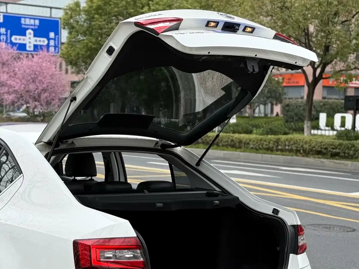 Škoda Octavia 2018 TSI230 DSG Luxury Edition фото 14