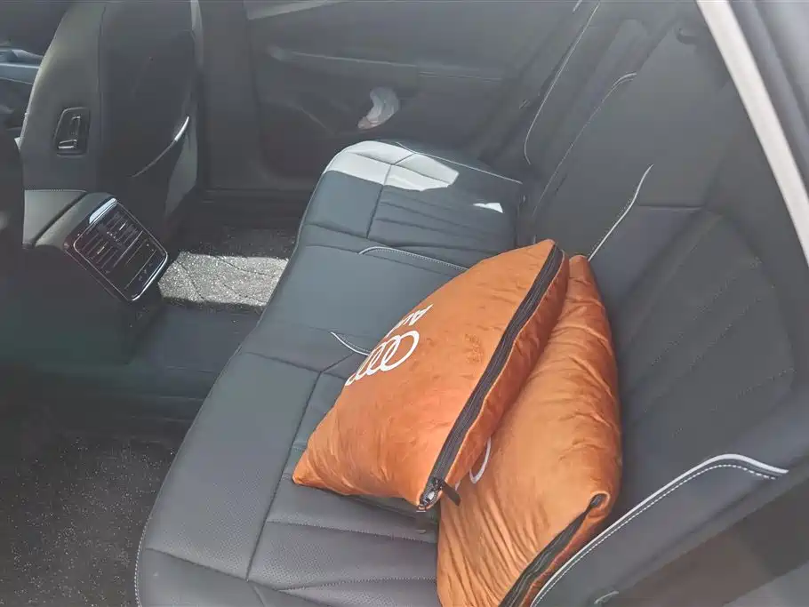 Volkswagen Passat 2024 380TSI Starlight Dragon Soaring Edition фото 11