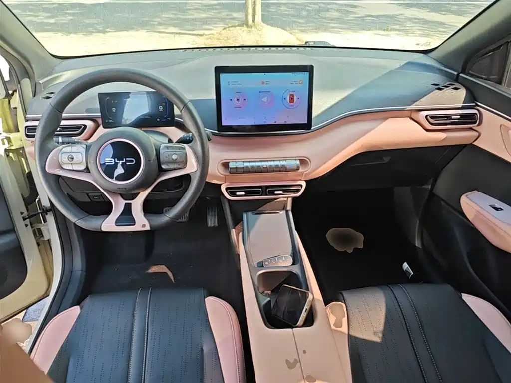 BYD Seagull 2024 Glory Edition 305km Vitality Edition фото 10