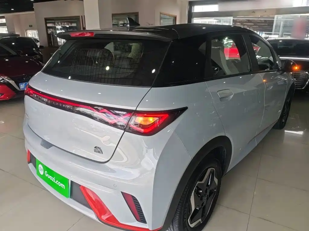 BYD Dolphin 2022 2021 405km Freedom Edition