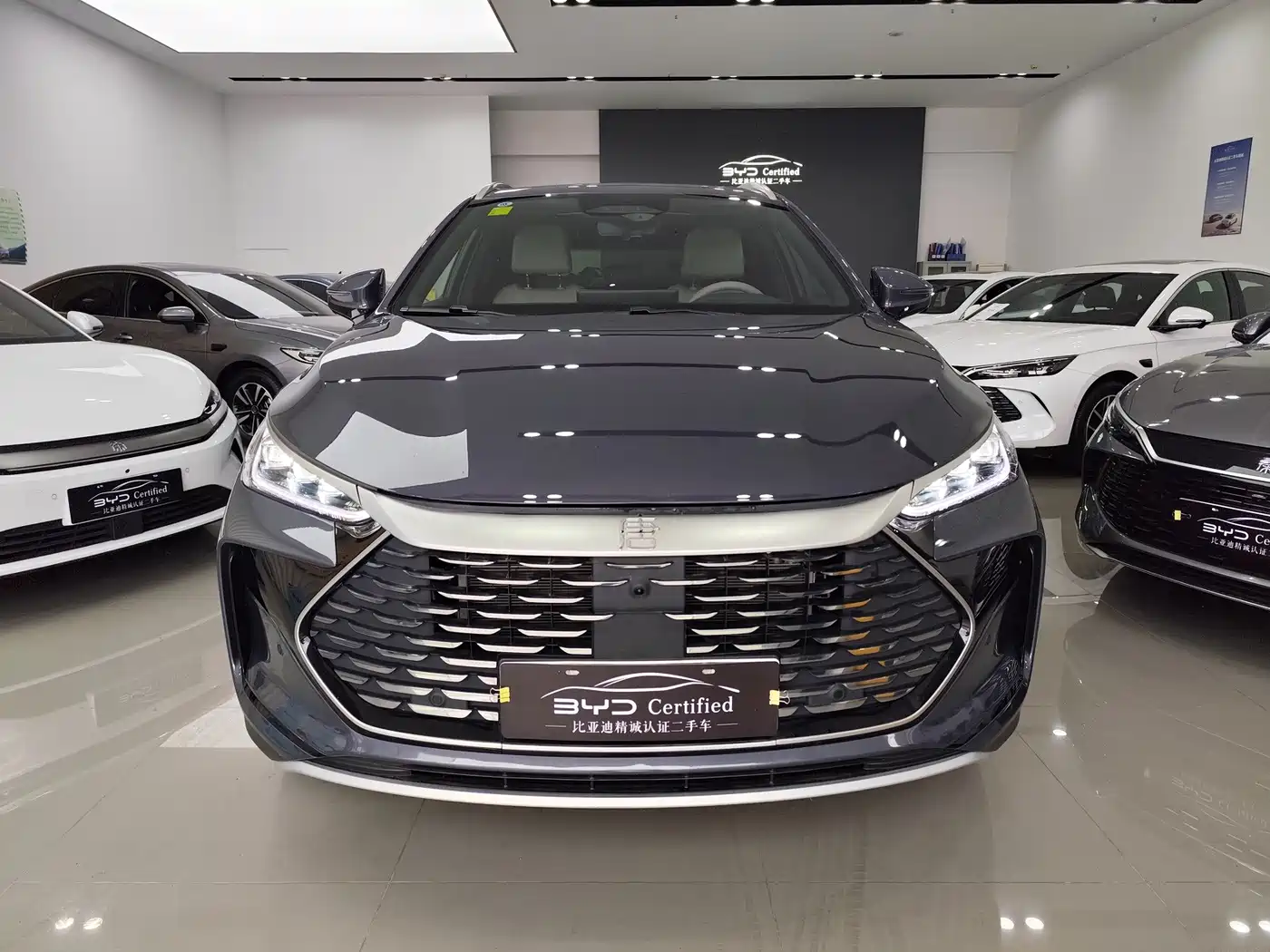 BYD Tang New Energy 2025 2025 Smart Driving Edition DM-i 115KM Flagship