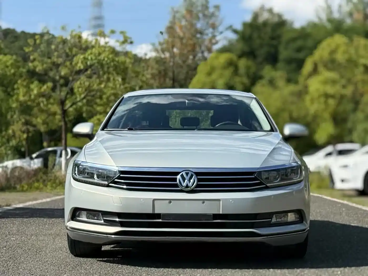Volkswagen Magotan 2017 330TSI DSG Luxury фото 2