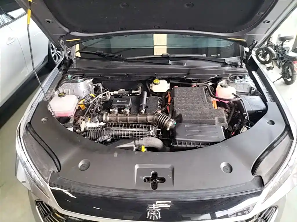 BYD Qin PLUS 2025 DM-i Smart Drive 55KM Leader фото 19