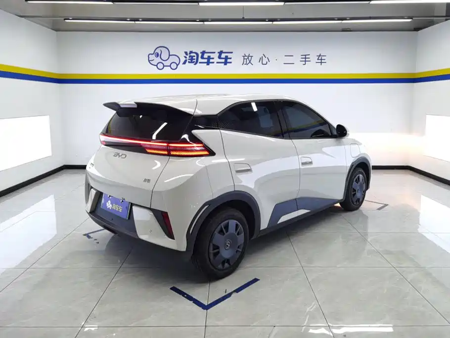 BYD Seagull 2026 2025 Smart Drive Edition 305km Vitality Version