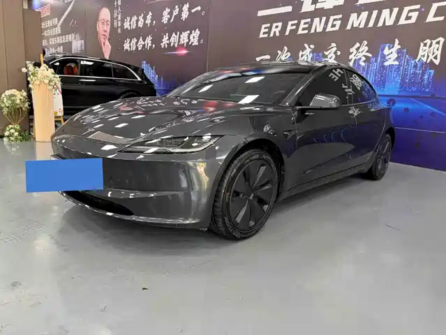Tesla Model 3 Задний привод
