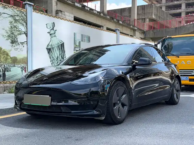 Tesla Model 3 2021 Standard Range Rear-Wheel Drive Upgrade 3D6 — фото 1
