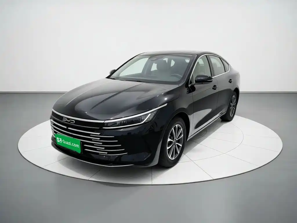 BYD Destroyer 05 2024