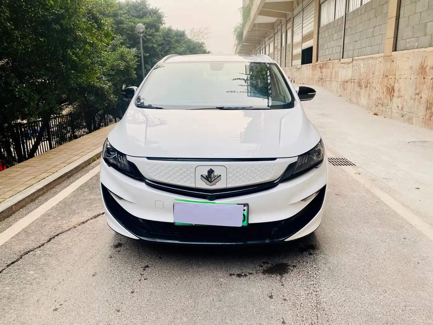 RUILAN AUTOMOBILE MAPLE LEAF 80V PRO