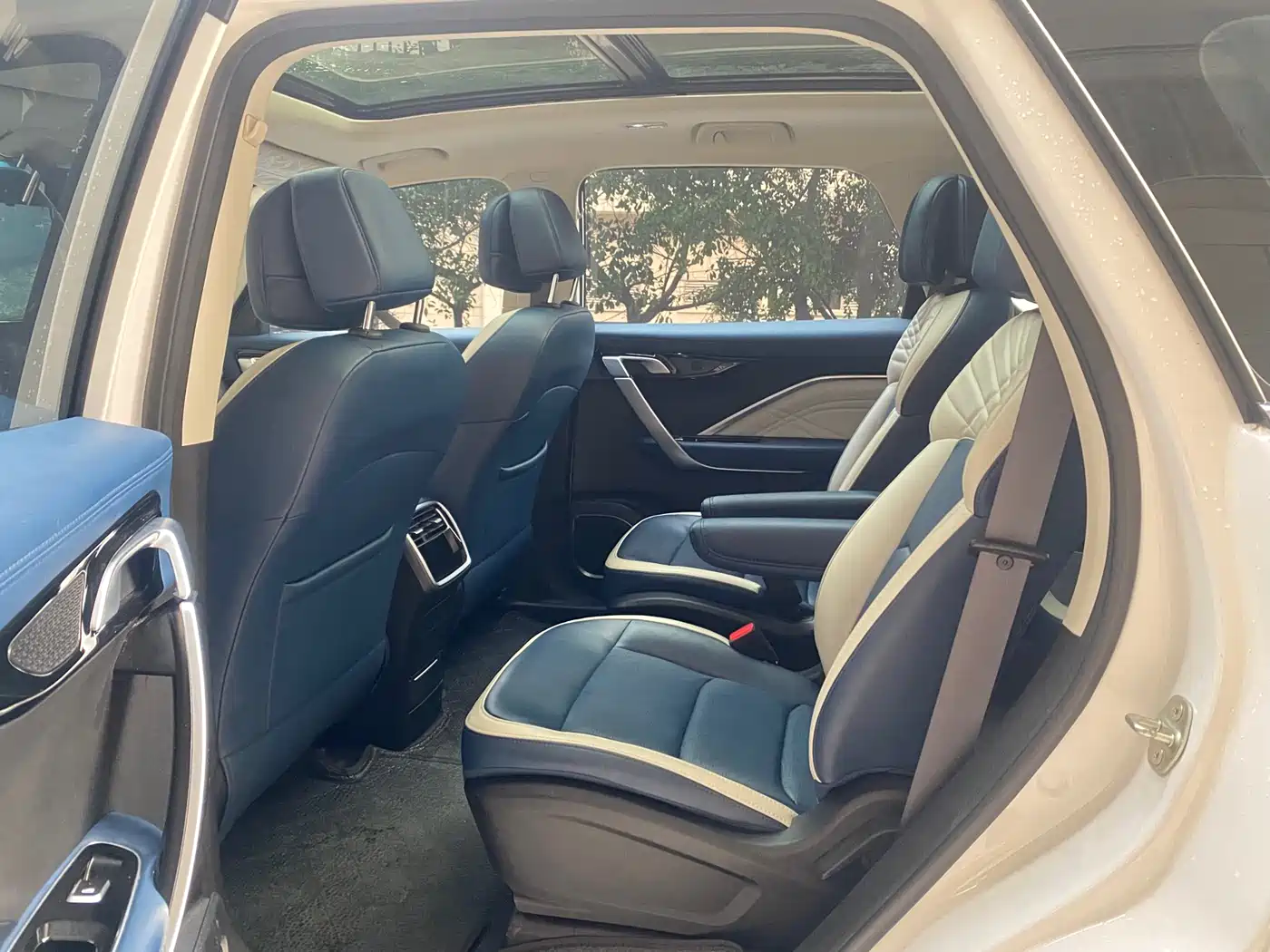 RUILAN AUTOMOBILE MAPLE LEAF 80V PRO