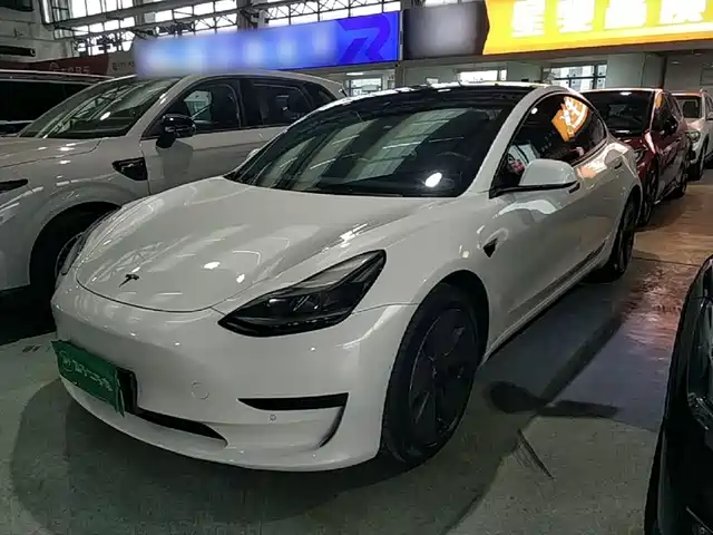 Tesla Model 3 Задний привод