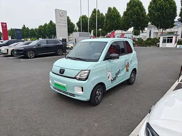 Dongfeng Fengguang Fengguang MINIEV 2022 Practical Style Utility Type