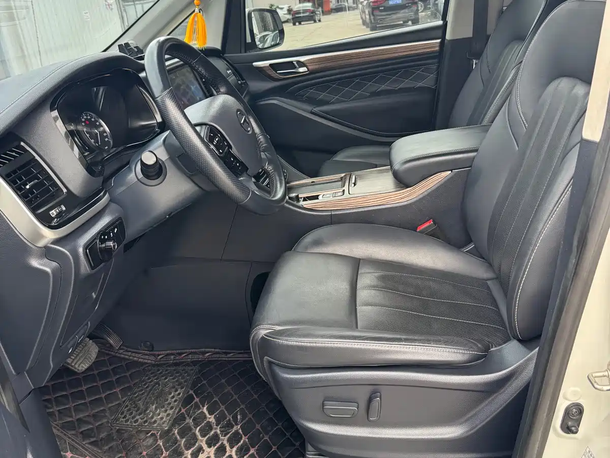 GAC Trumpchi Trumpchi M8 2020 Pilot 390T Premium Edition фото 8