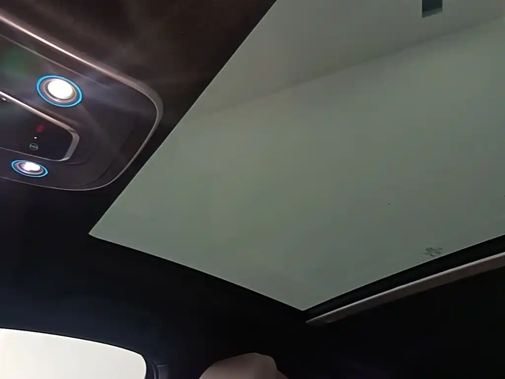 BYD Tang New Energy 2025 Smart Driving Edition DM-i 115KM Flagship фото 18
