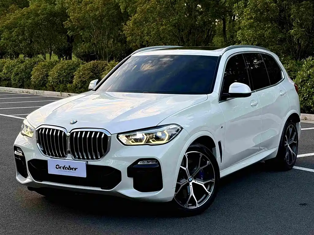  BMW BMW X5 (Import) 2019 xDrive40i Exclusive M Sport Package