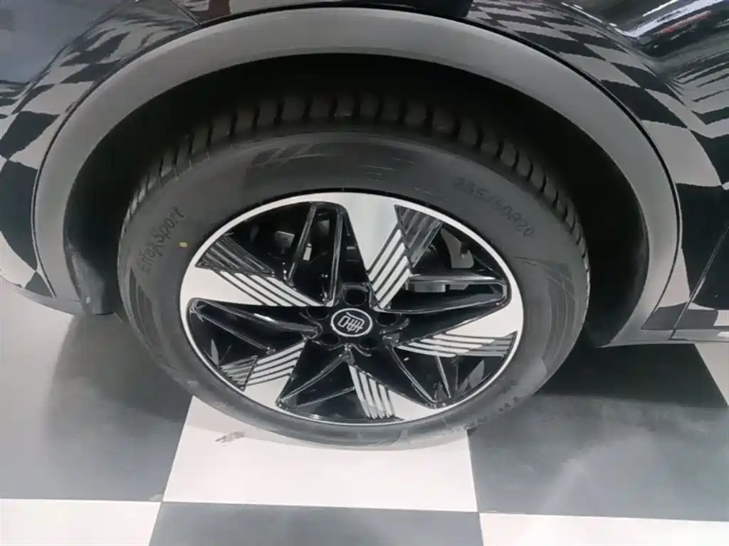 BYD Tang New Energy 2023 Model DM-i Champion Edition 112KM Honor фото 23