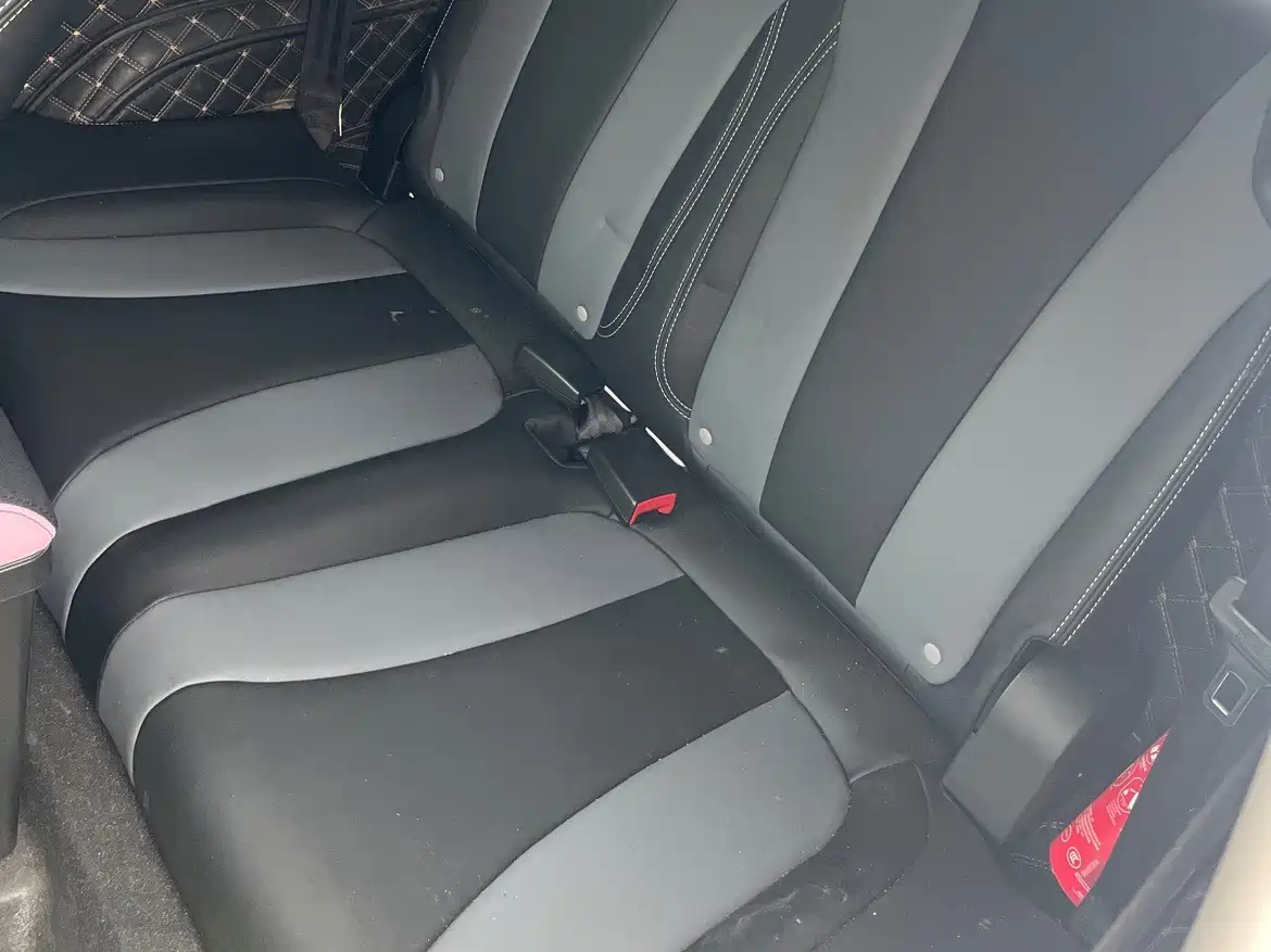 Roewe Clever 2023 2022 311km Vitality Bobo Edition