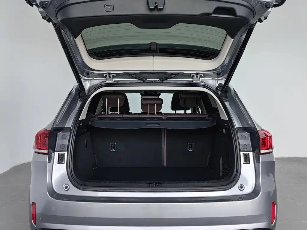 WEY VV6 2021 2021 2.0T 2WD Smart Enjoyment+