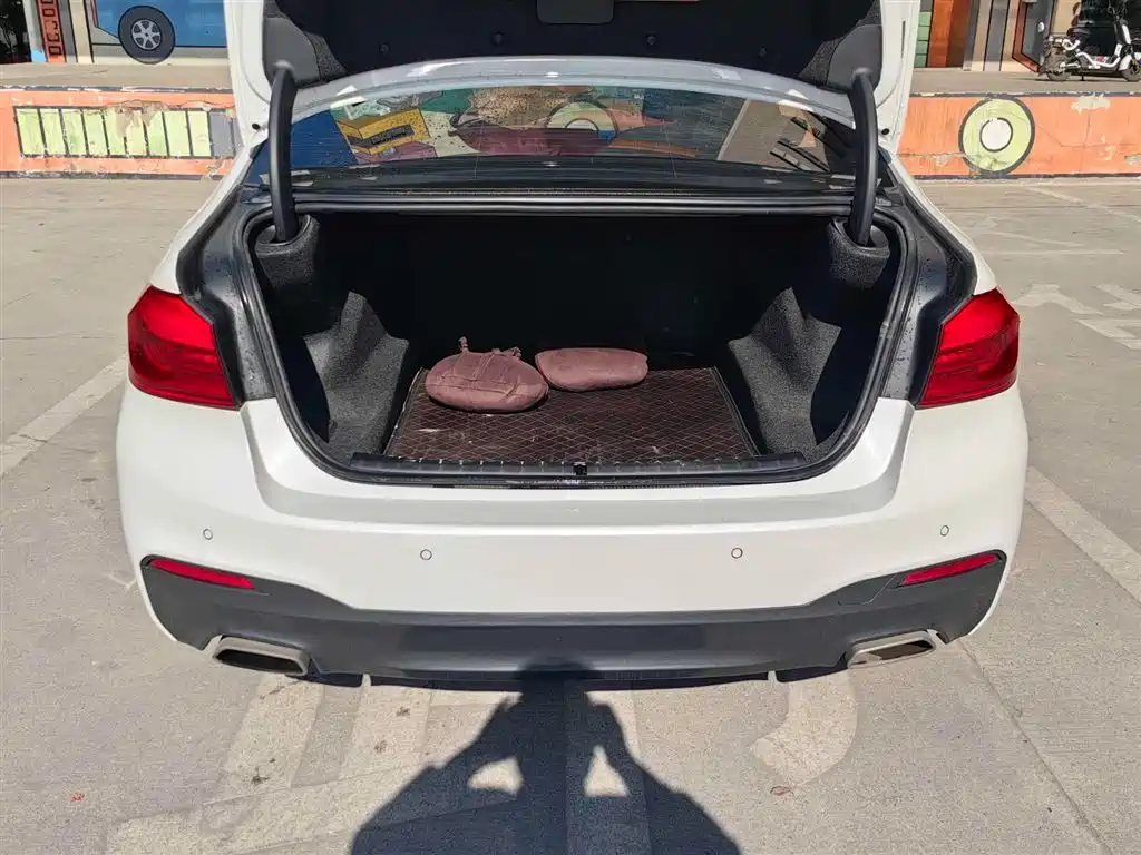 BMW 5 Series 2020 530Li Leading M Sport Package фото 15