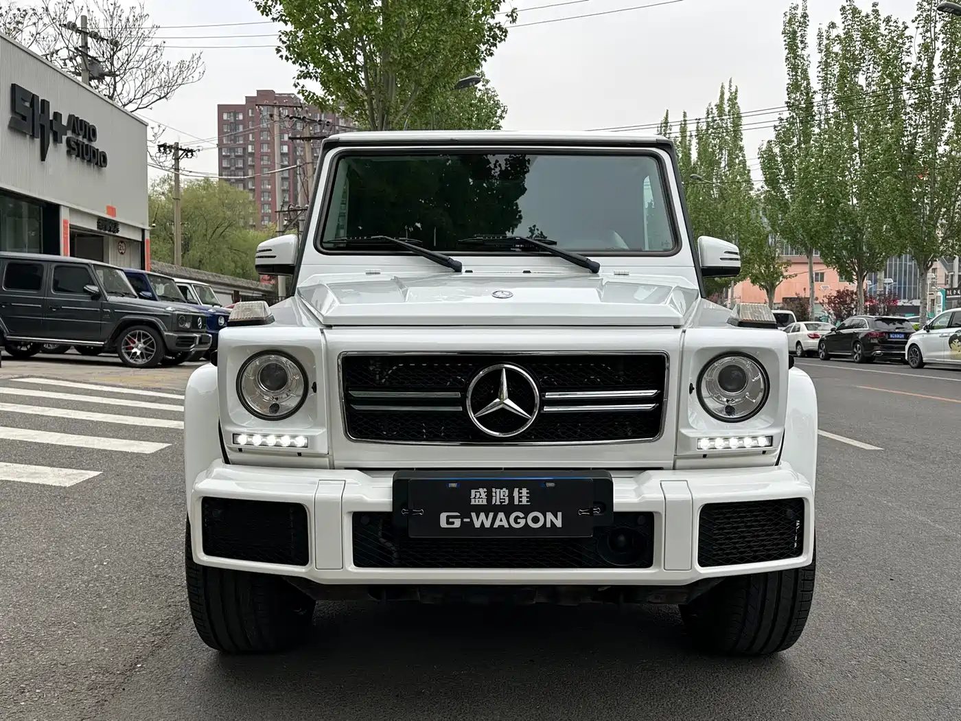 Mercedes-Benz G-Class 2016 G 500 фото 4