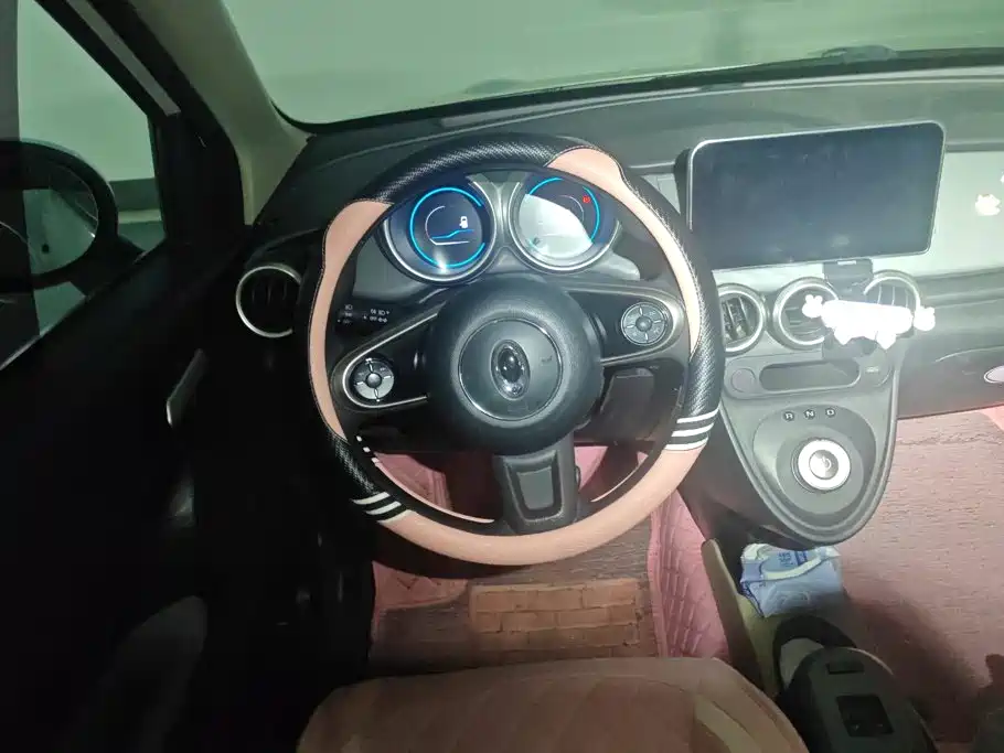 Ora Black Cat 2019 2019 310km Fun Edition
