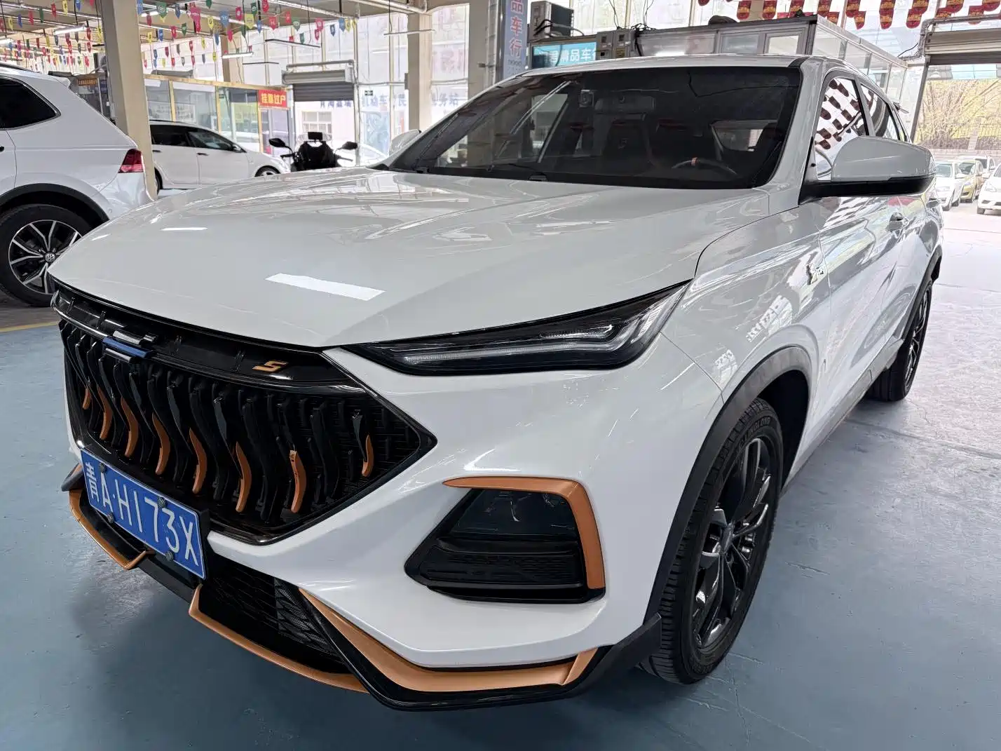 Фото 1 - Changan Oshan Changan Oushang X5