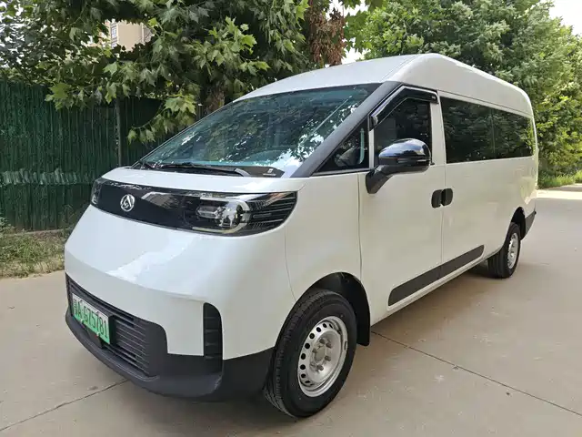  SAIC Maxus Dana V1L