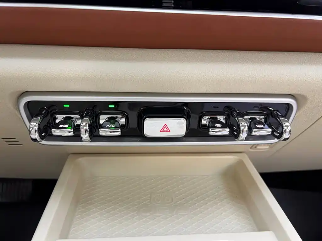 Ora Good Cat 2026 2025 Model 430km Luxury