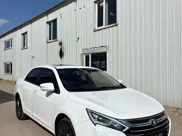 BYD QINXIN ENERGY 2019
