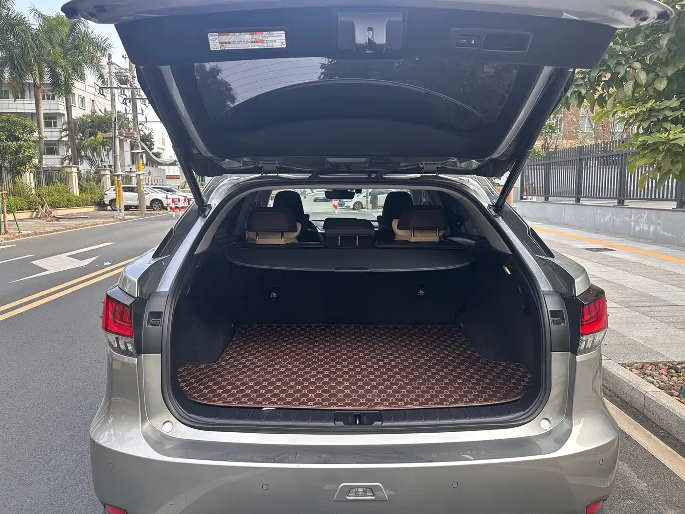 LEXUS RX