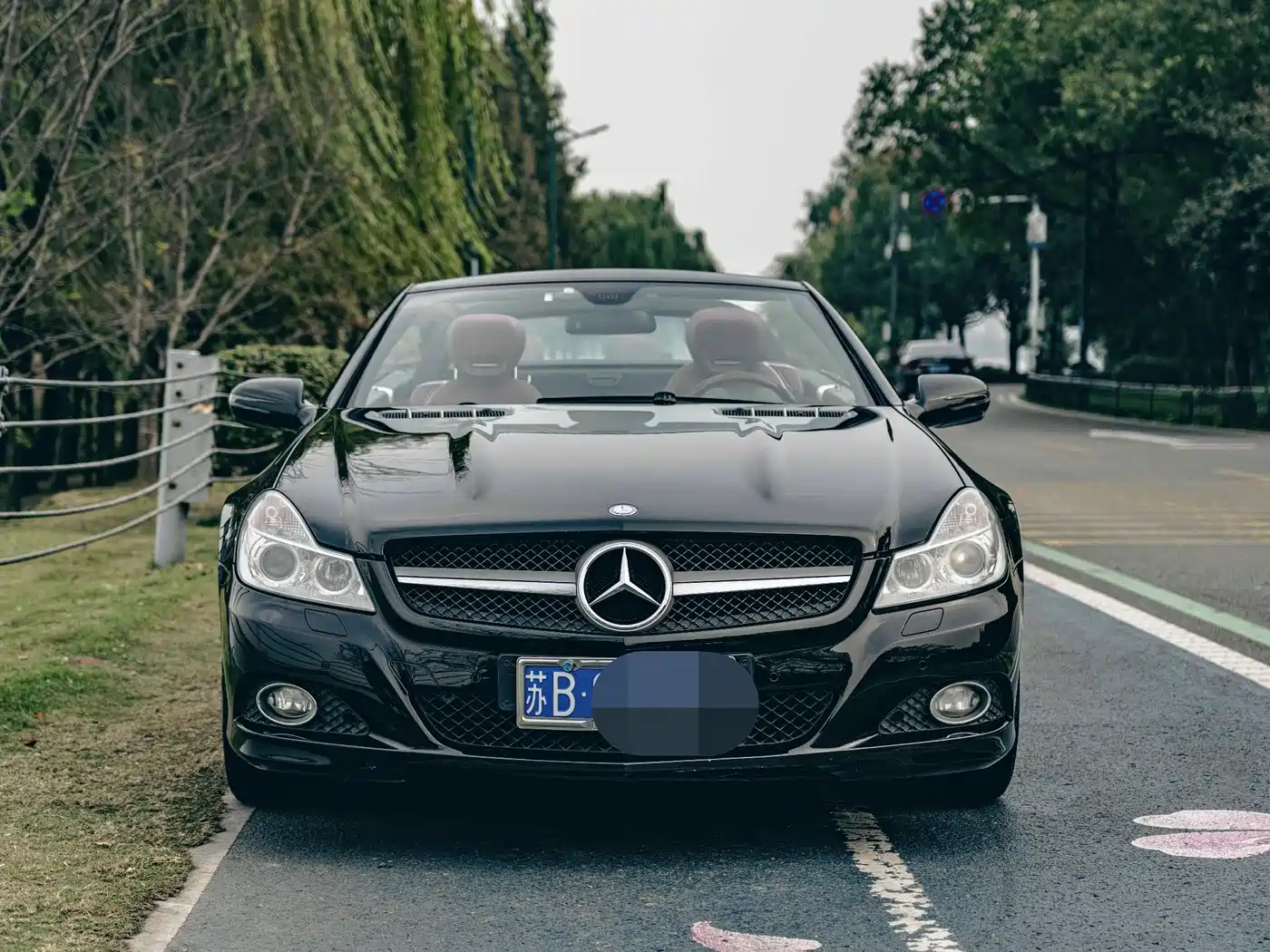 Mercedes-Benz SL-Class 2010 SL 500 фото 3