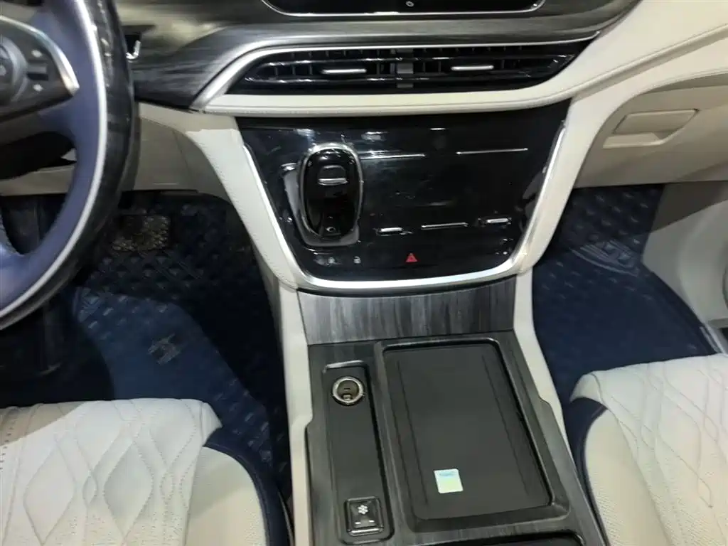 Buick GL8 2021 ES Landlord 653T Comfort фото 14