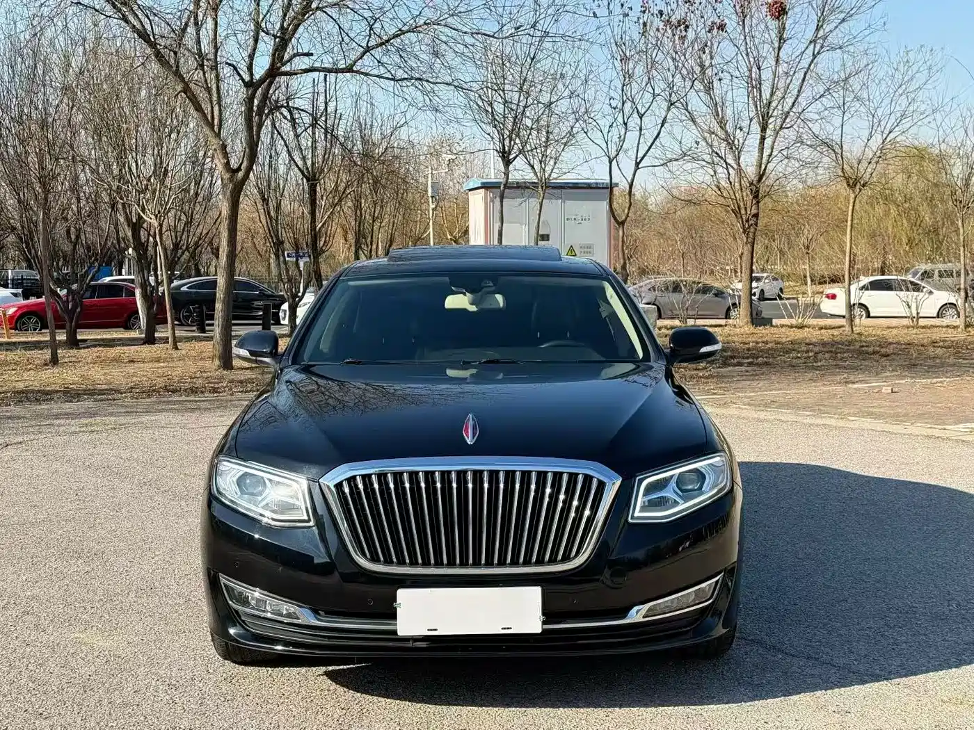 Hongqi H7 2018 2.0T Elite Edition фото 2