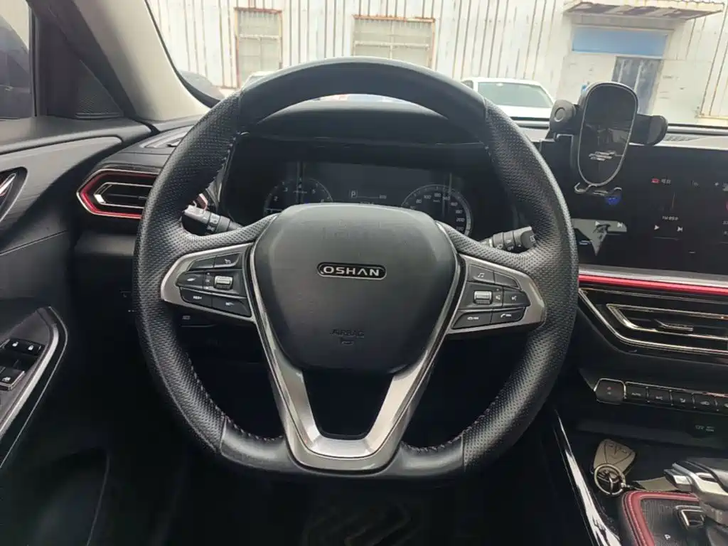 Фото 7 - Changan Oshan Changan Oushang X5