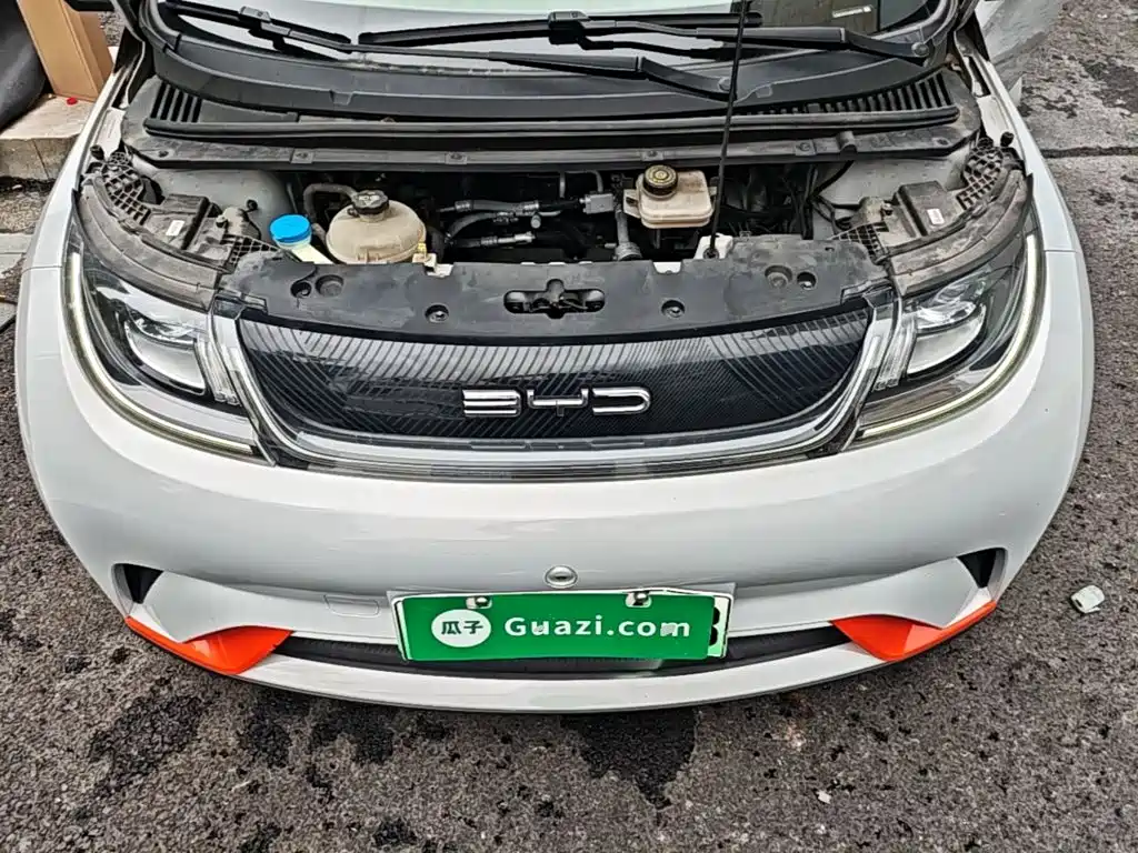 BYD Dolphin 2021 2021 Model 405km Fashion Edition