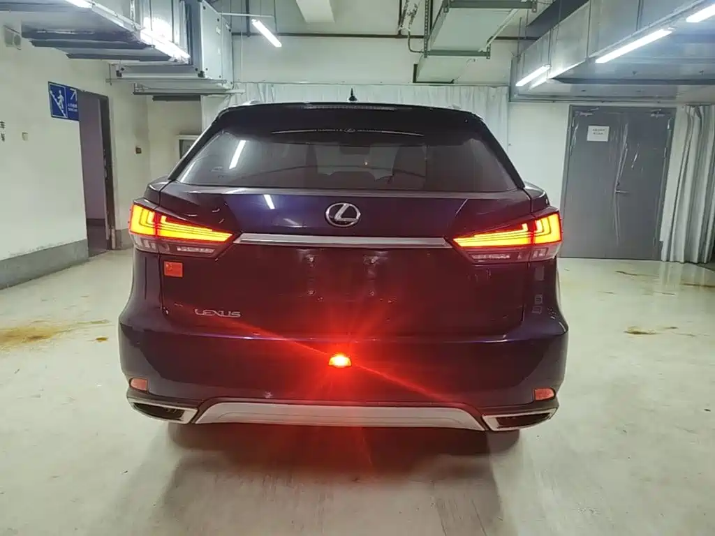 Фото 6 - Lexus RX