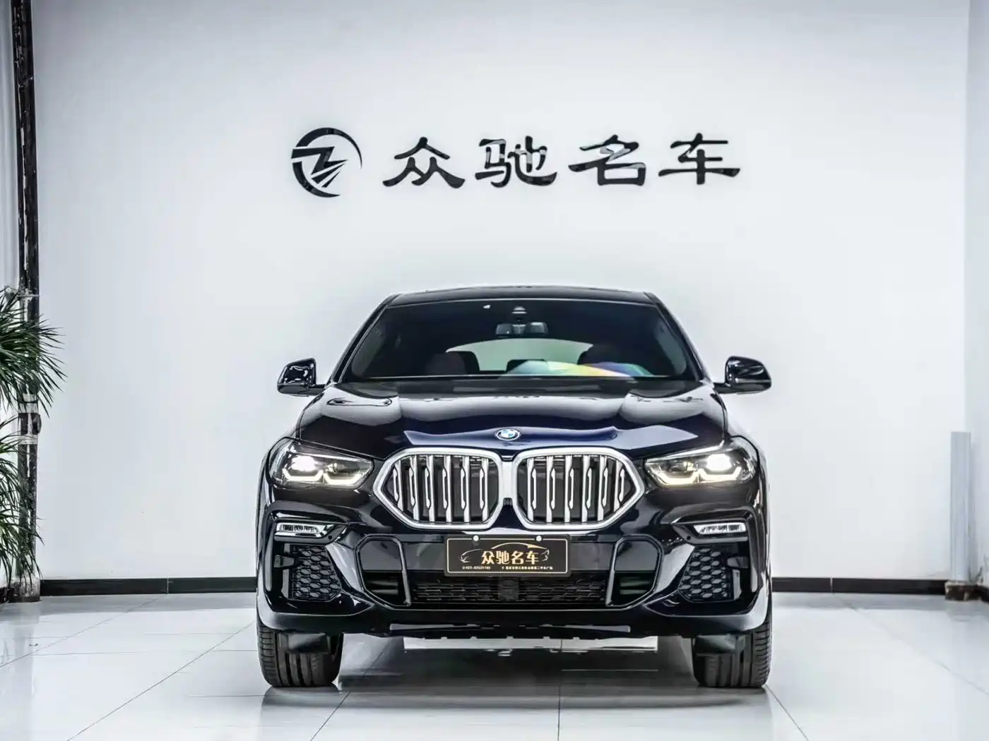 BMW X6 2021 xDrive30i M Sport Package фото 2