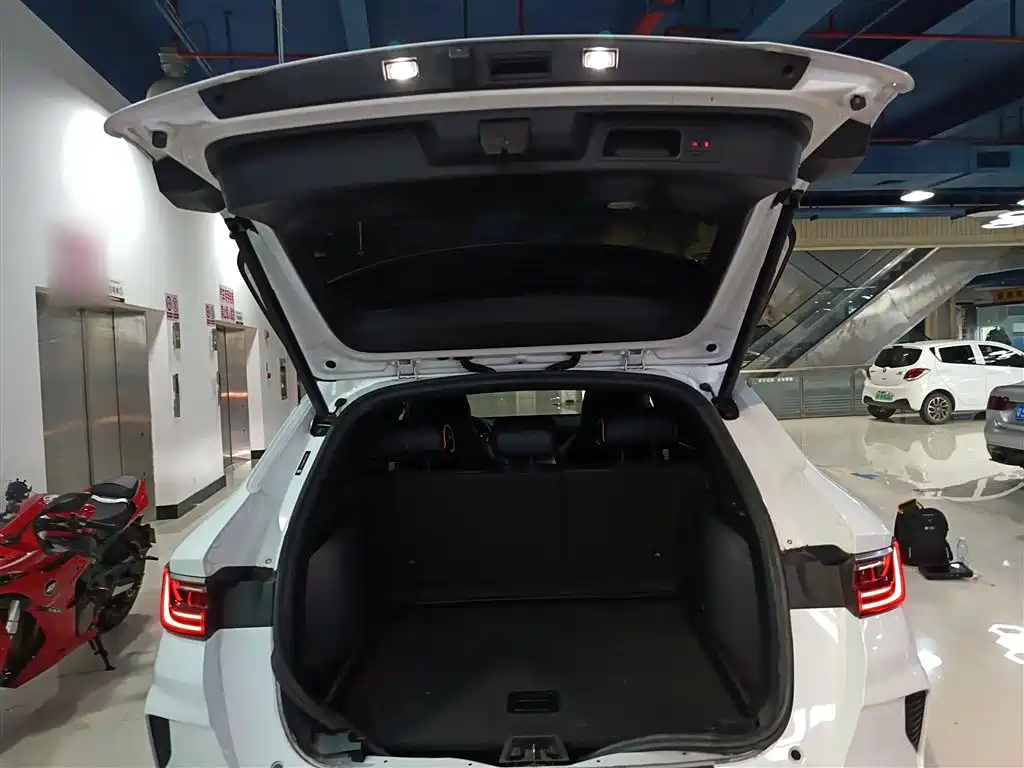 BYD Song PLUS PHEV 2021 DM-i 110KM Flagship PLUS фото 16