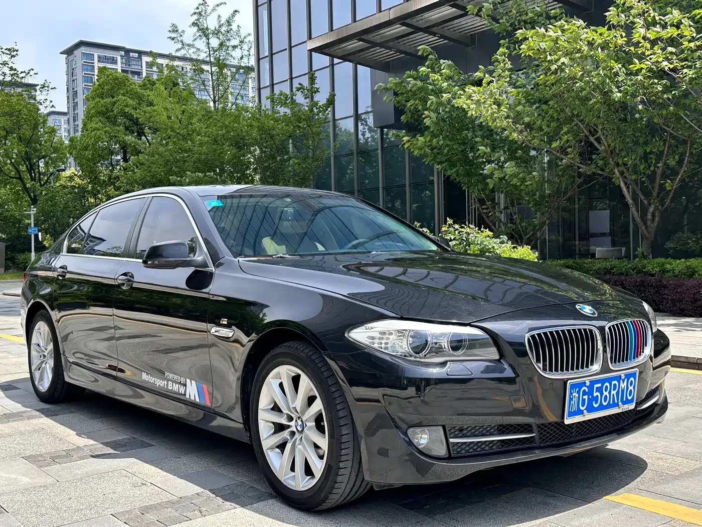 BMW 5 Series 2012 530Li Leadership фото 3