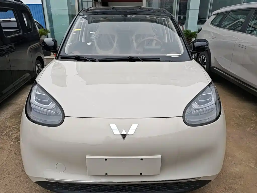Wuling Motors Wuling Bingo 2026 2025 Model 333km Joy Edition