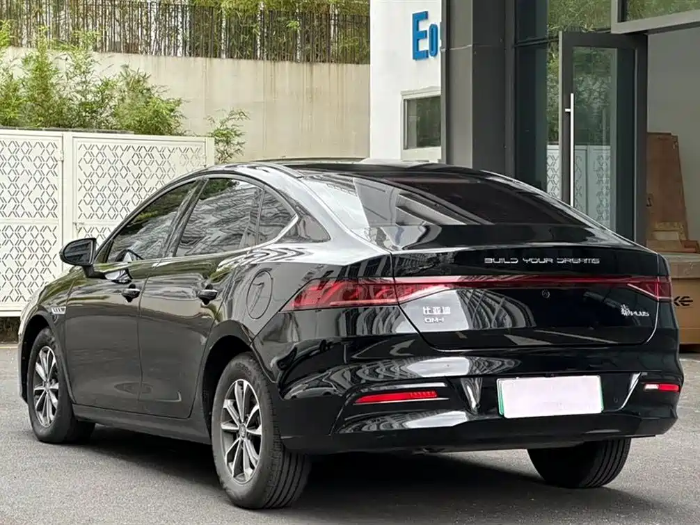 BYD Qin PLUS 2024 Glory Edition DM-i 55KM Leading фото 4